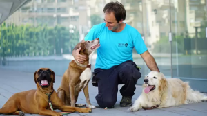 איך לגמול כלב מצרכים בבית: המדריך המלא והמקצועי לחינוך גור (וגם כלב בוגר)